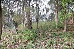 3rd image of 117 Spy Glass Way Lot 41
