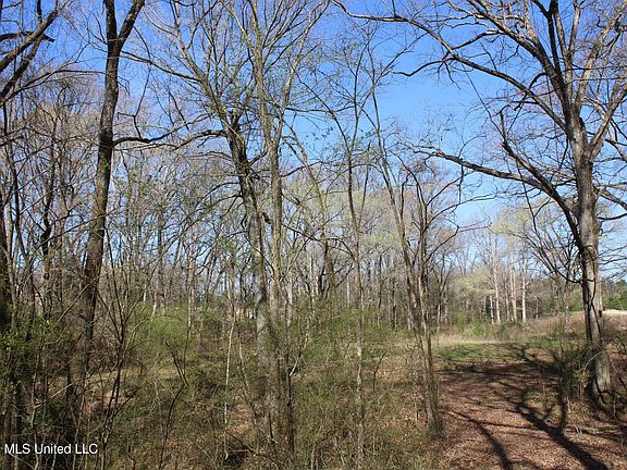 5th image of 9 Barton Desoto Rd