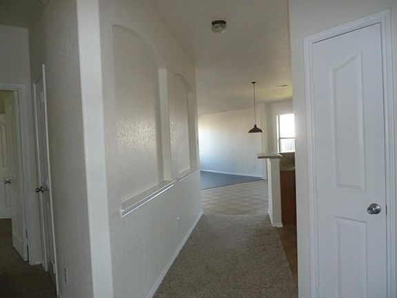 Picture 3