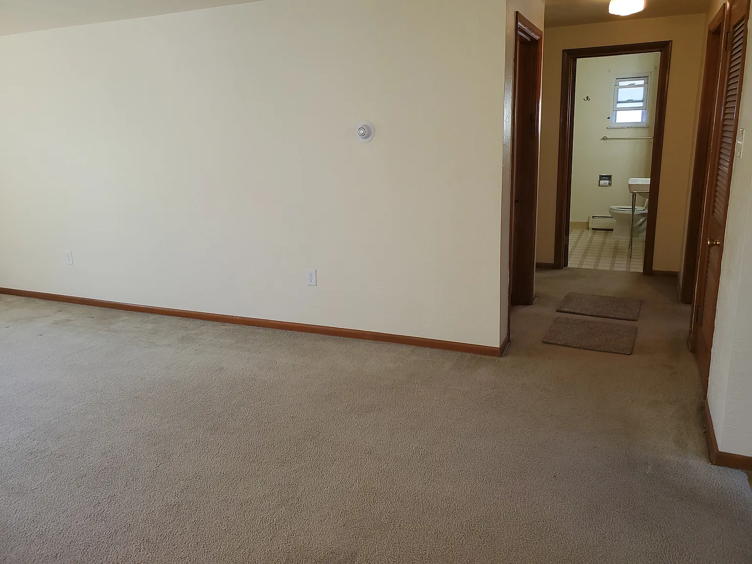 2 bed, 1100 sqft, $1,250 — Photo 4