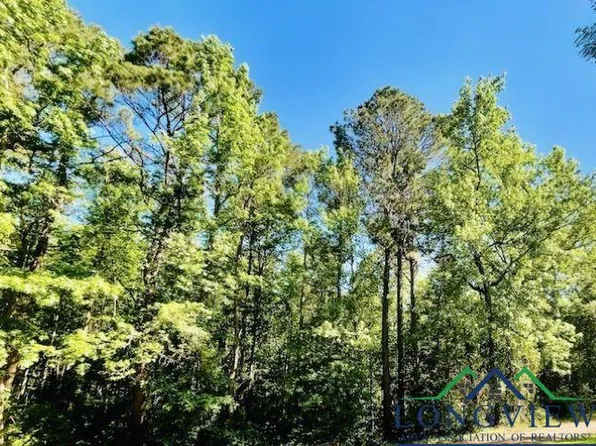 Deerwood Park, Queen City, TX 75572