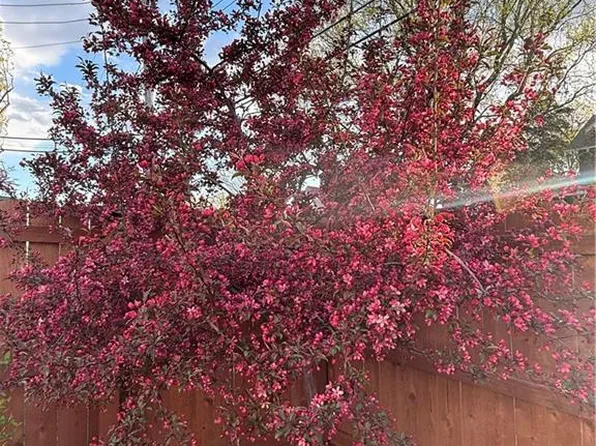 910 W Waldo Ave, Independence, MO 64050