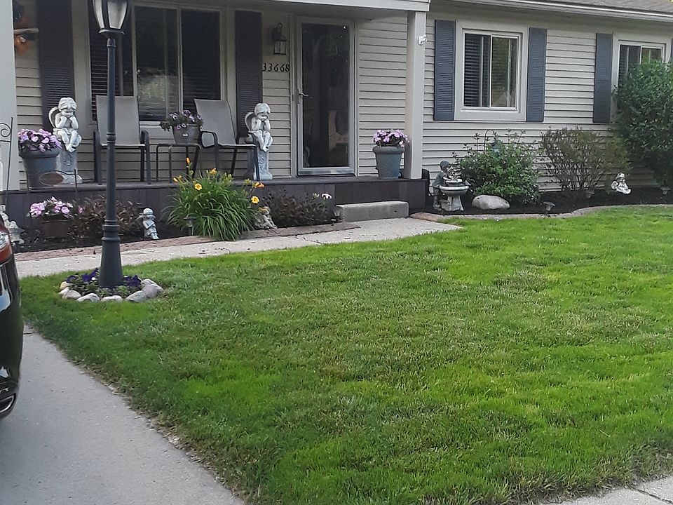 1st image of 33668 Fairchild St
