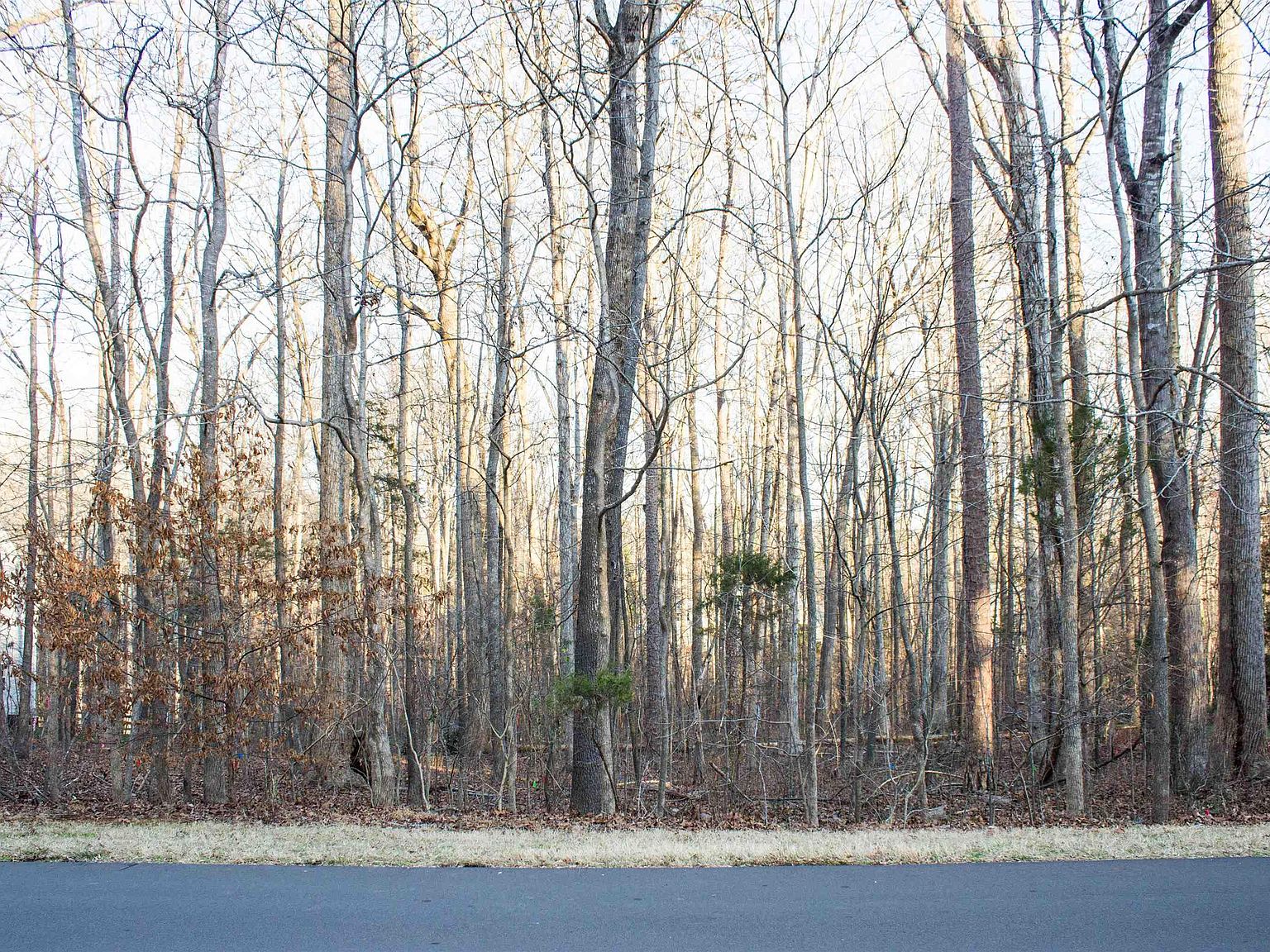 11514 S Lowell Rd, Bahama, NC 27503 Zillow