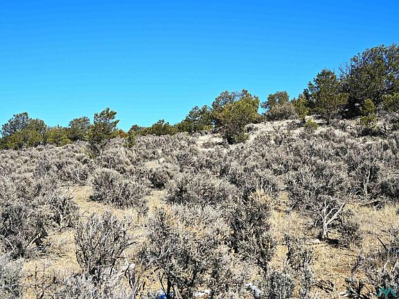 5th image of Vereda De Caballos