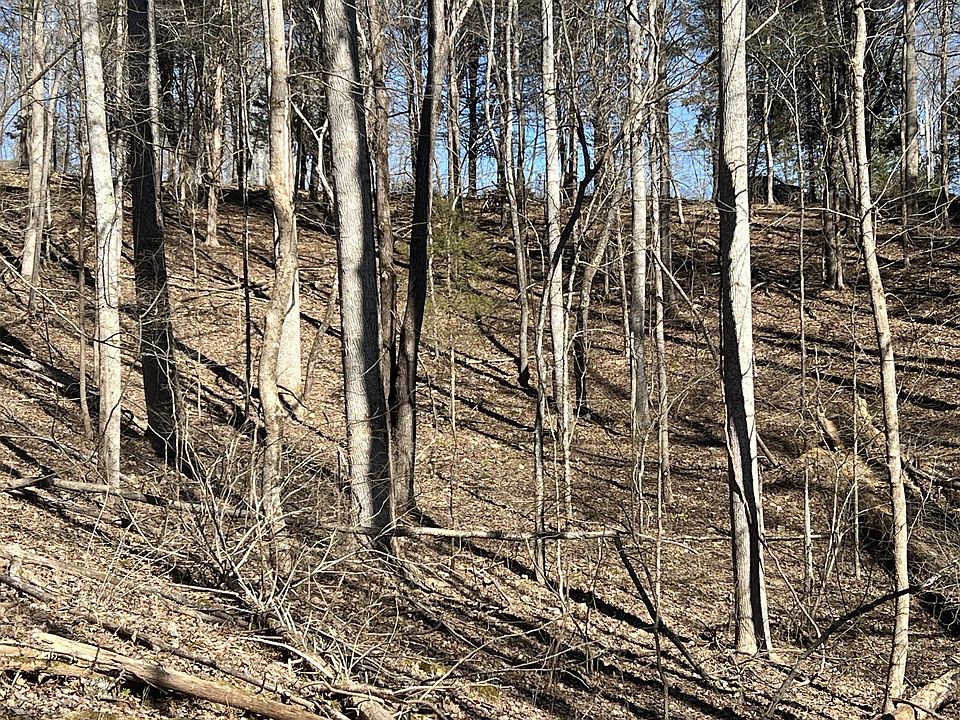 2nd image of 137 Gennies Way Lot 137