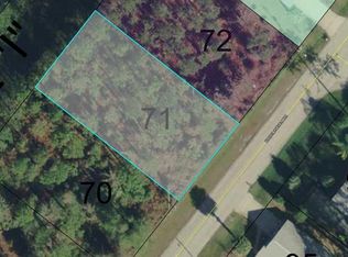 163 Bridgehaven Dr, Palm Coast, FL 32137