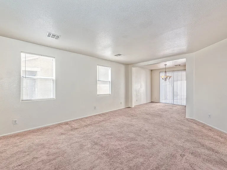 4222 Spruce Fern Ln — Photo 12