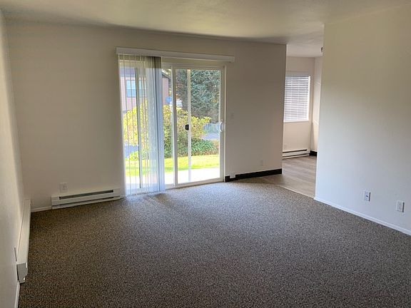 Living room with new carpeting and slider to patio