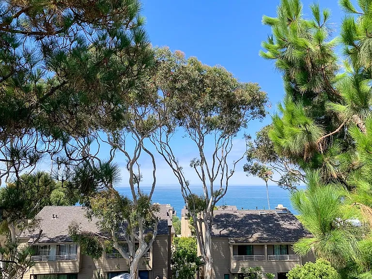 Los Arboles Apartments — Photo 14
