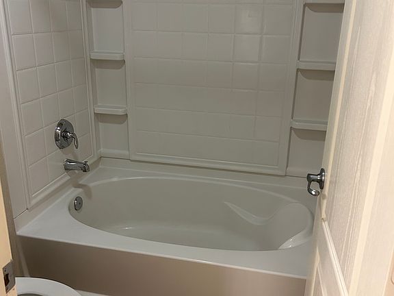 Master Tub and Shower