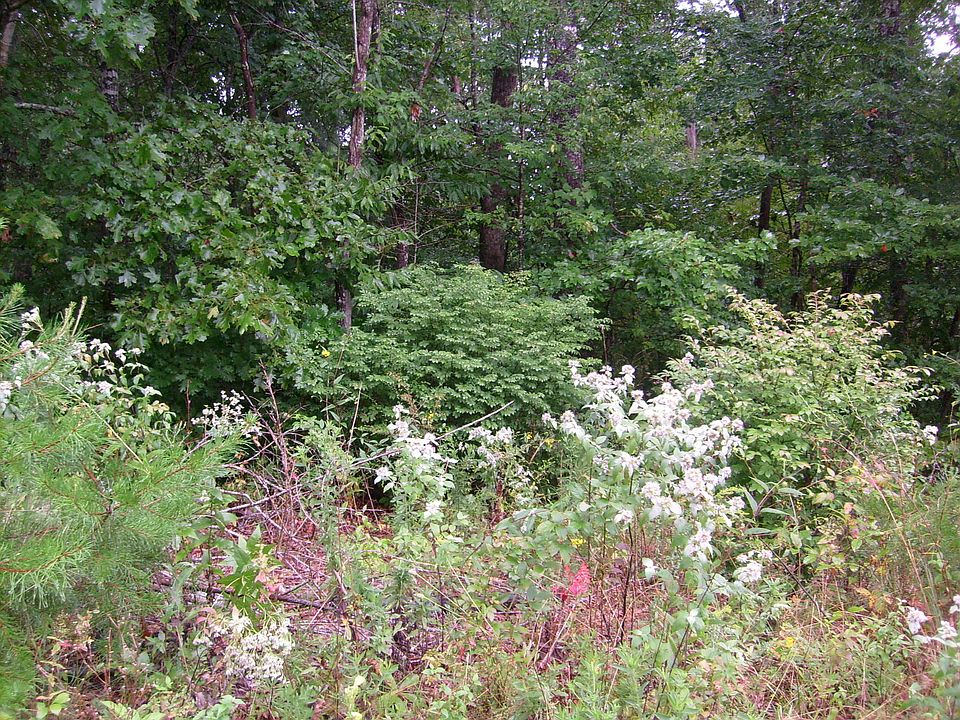 1st image of 0 Spruce Loop