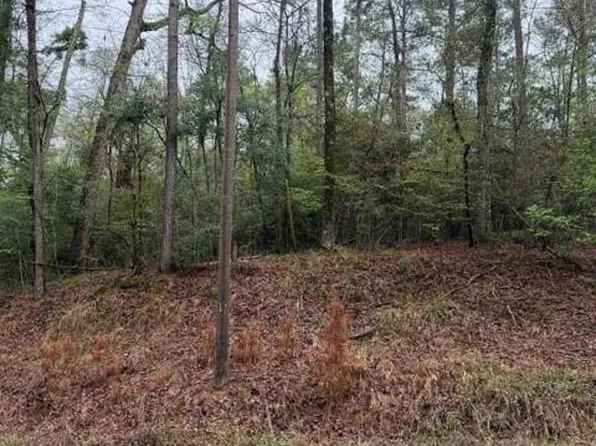 39-40 & #41-S, Pointblank, TX 77364