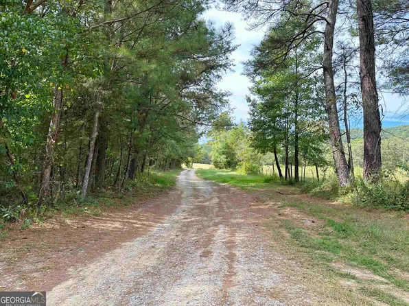 0 Mona Ln, Summerville, GA 30747