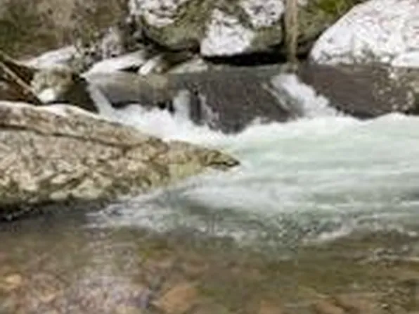 Sturgills Rd, Mouth Of Wilson, VA 24363