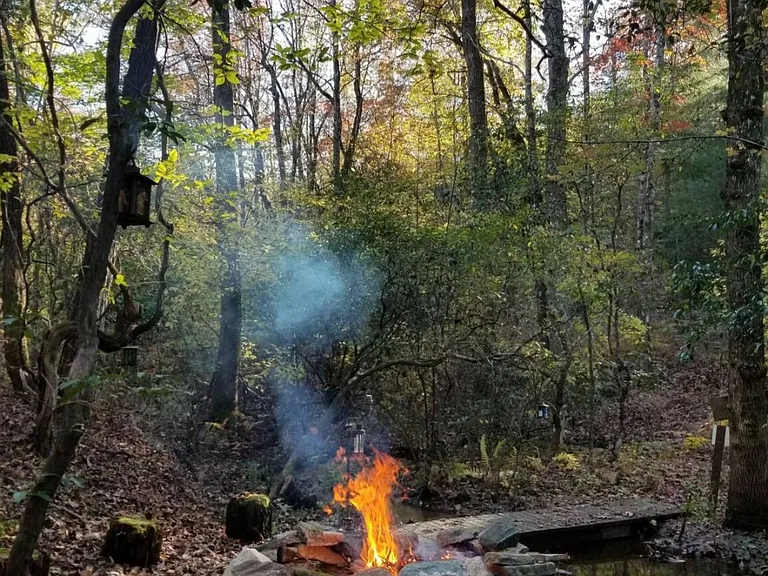 1197 Line Runner Ridge Rd — Photo 18