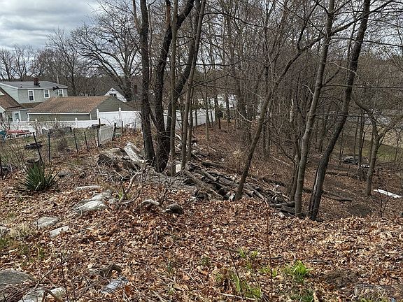 2nd image of 0 Madison St