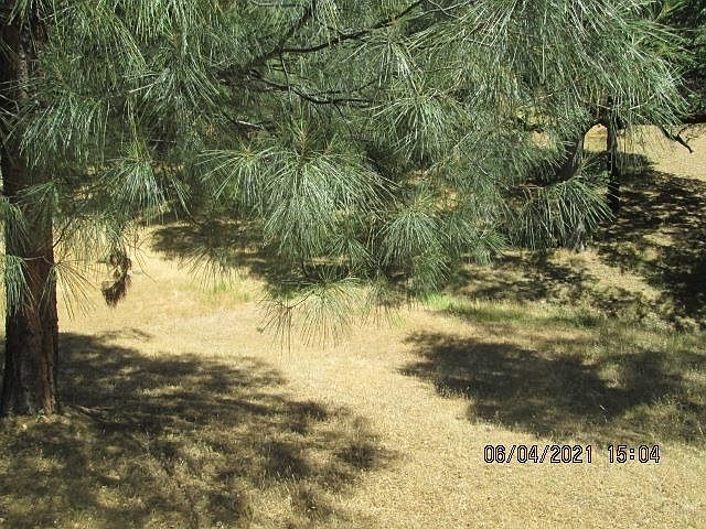 1st image of 20483 Pine Mountain Dr