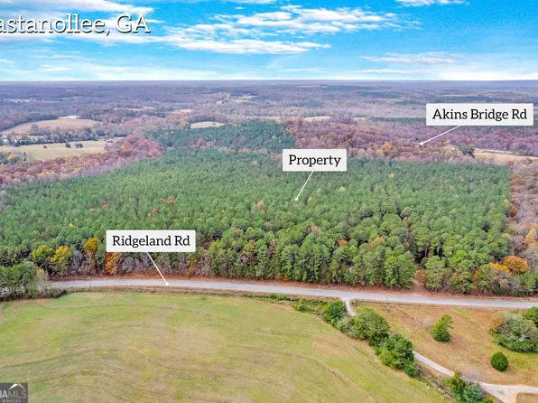 0 N Akins Bridge Rd, Eastanollee, GA 30538
