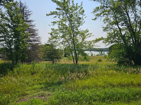 106th Ave NE, Spicer, MN 56288