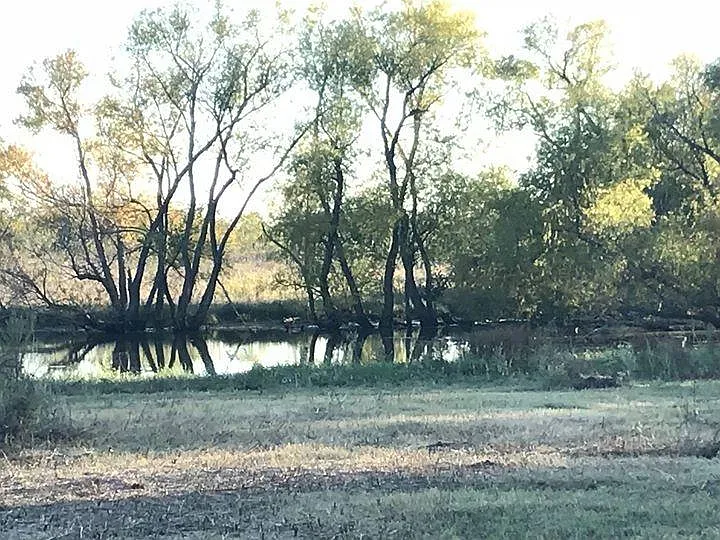 7298 N FM 148 — Photo 5