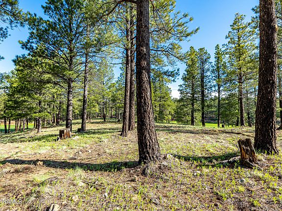 4th image of 3631 E Woodland Dr Lot 369