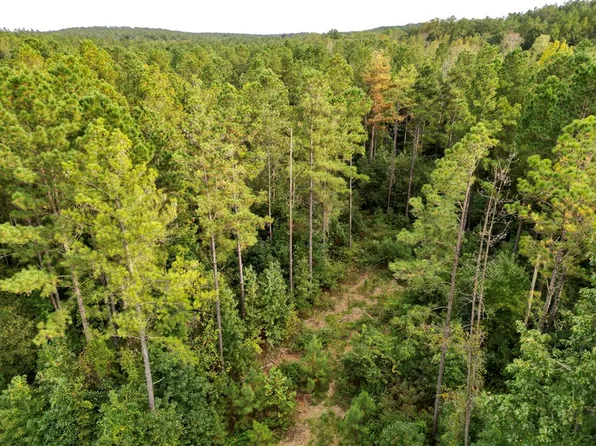 0 County Road 7736, Troy, AL 36081