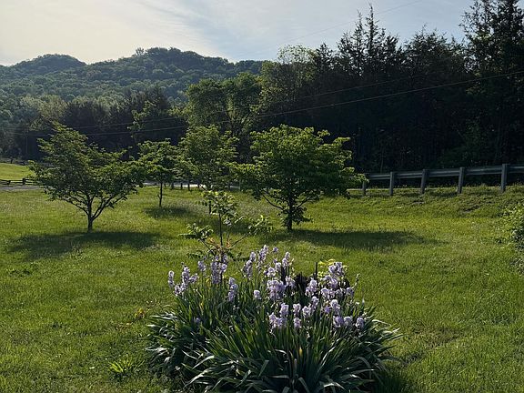 5th image of 912 Raccoon Valley Rd