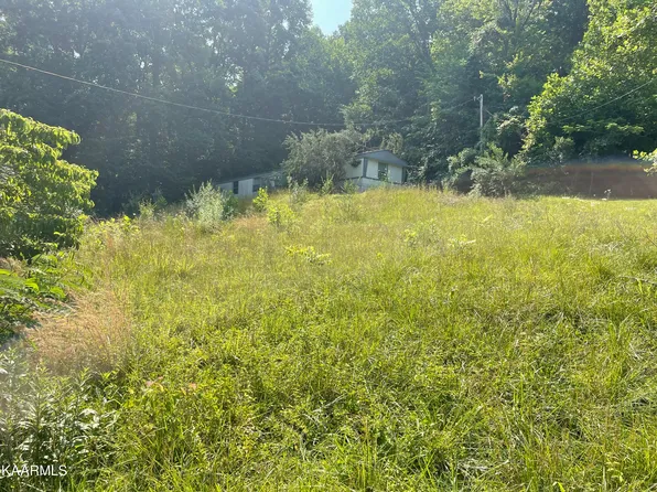 Clear Lake Dr, Jacksboro, TN 37757