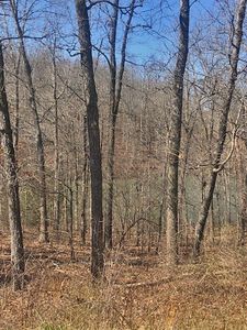 Hualapi Dr, Cherokee village, AR, 72529