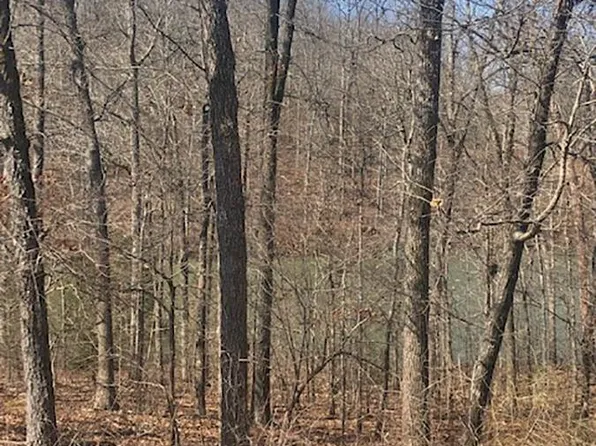 Hualapi Dr, Cherokee Village, AR 72529