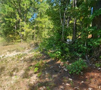 0 County Road 36, Tuskegee, AL, 36083