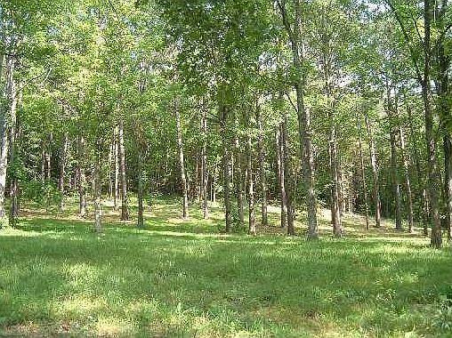 1st image of Beaver Shores Rd
