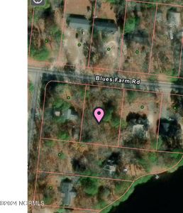 Tbd Blues Farm Road, Laurinburg, NC, 28352
