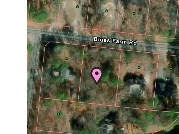 Tbd Blues Farm Road, Laurinburg, NC 28352