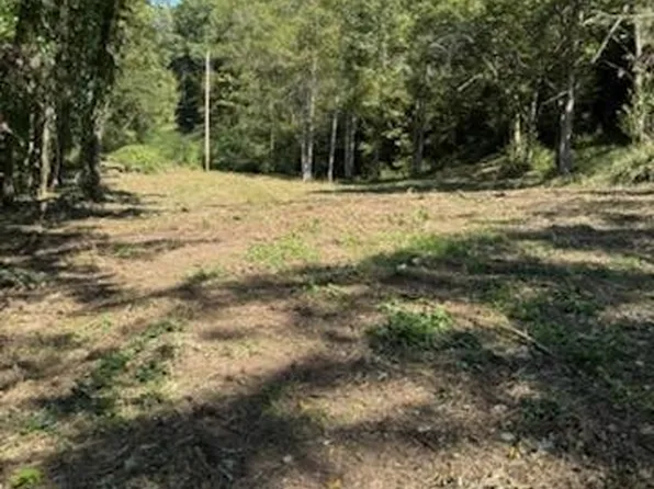 439 Caney Creek Rd Lot 0, Pigeon Forge, TN 37863
