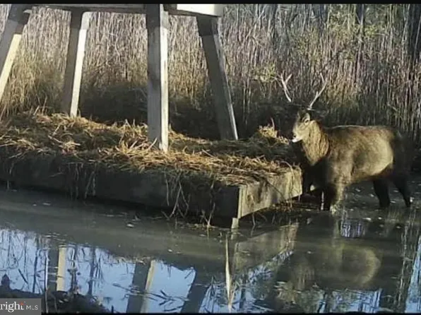 2651 Lakesville Crapo Rd, Crapo, MD 21626