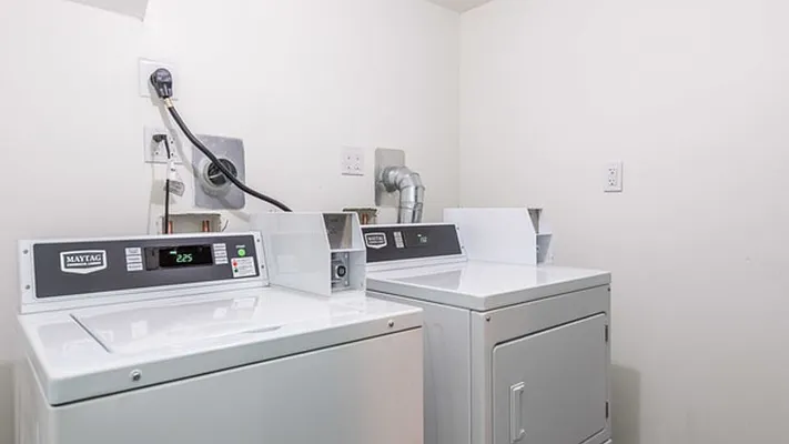 Rented by Nooklyn NYC LLC | media 41