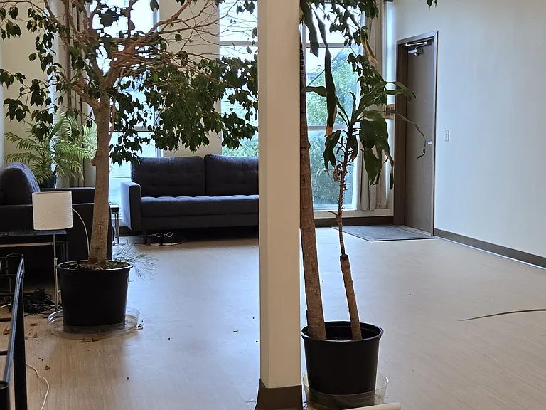 425 Cedar Ave #2 — Photo 26