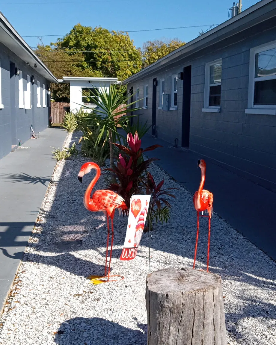 2 bed, 800 sqft, $1,595 — Photo 1