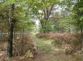 N Bass Lake Rd, Irons, MI 49644