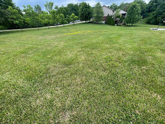 4th image of 11527 Jamestown Ln