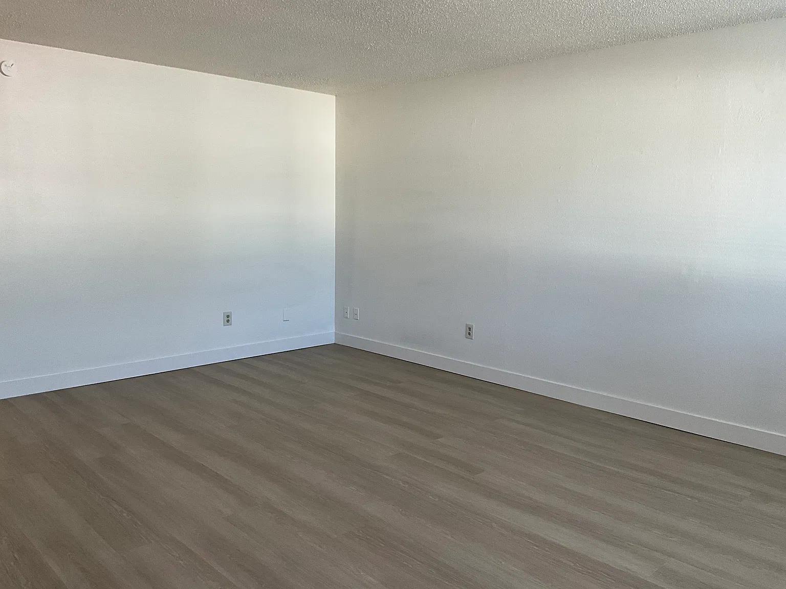 2 bed, 900 sqft, $1,650 — Photo 2