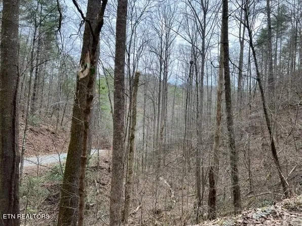 0 Woodside Ln Lot 3, Sevierville, TN 37862