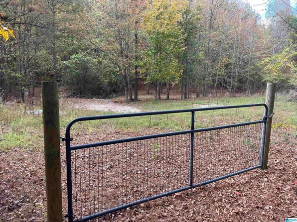 0 Rocky Hollow Ln #9.6, Piedmont, AL 36272