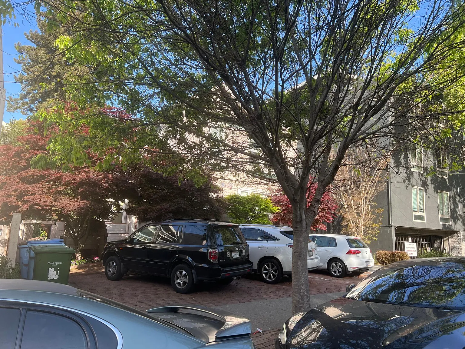 1 bed, 450 sqft, $2,450 — Photo 3