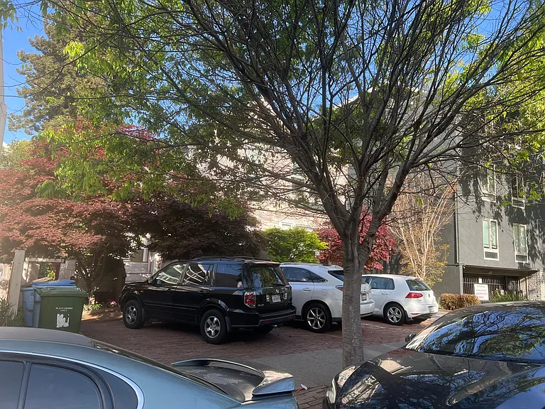 2530 College Ave #3 — Photo 6