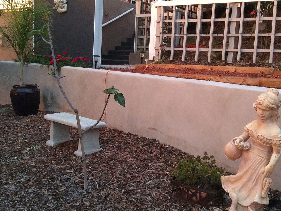 2nd image of 1835 Terrace Dr