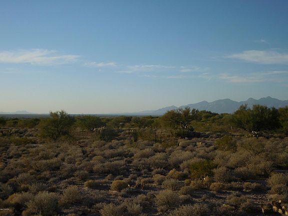 5th image of 10691 S Great Horned Owl Way