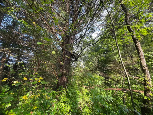 3130 E Riley Thompson Rd, Twin Lake, MI 49457